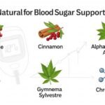 Top 5 Natural Supplements to Support Healthy Blood Sugar Levels in 2025